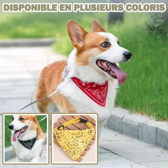 Bandana ajustable - Chien Précieux