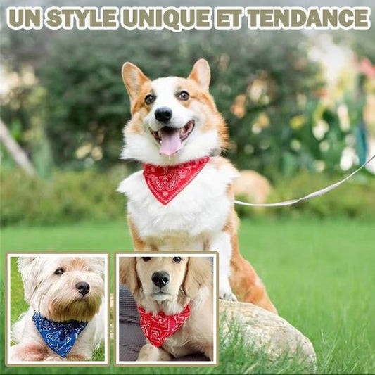 Bandana ajustable - Chien Précieux