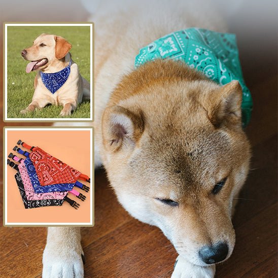 Bandana ajustable - Chien Précieux