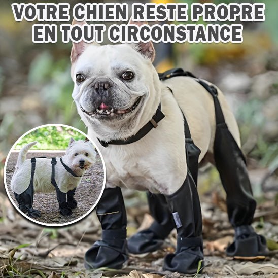 BOTTES POUR CHIEN | Dog - Boots™ - Chien Précieux