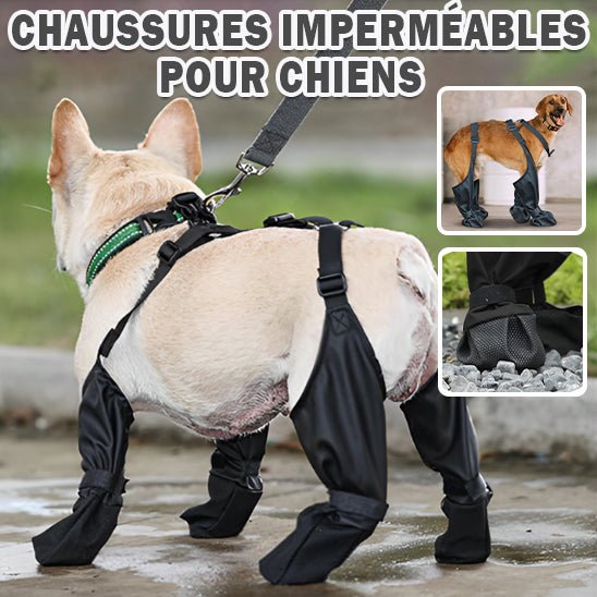 BOTTES POUR CHIEN | Dog - Boots™ - Chien Précieux