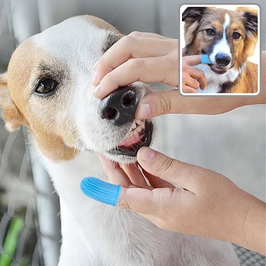 Brosse à dents de doigt - Chien Précieux