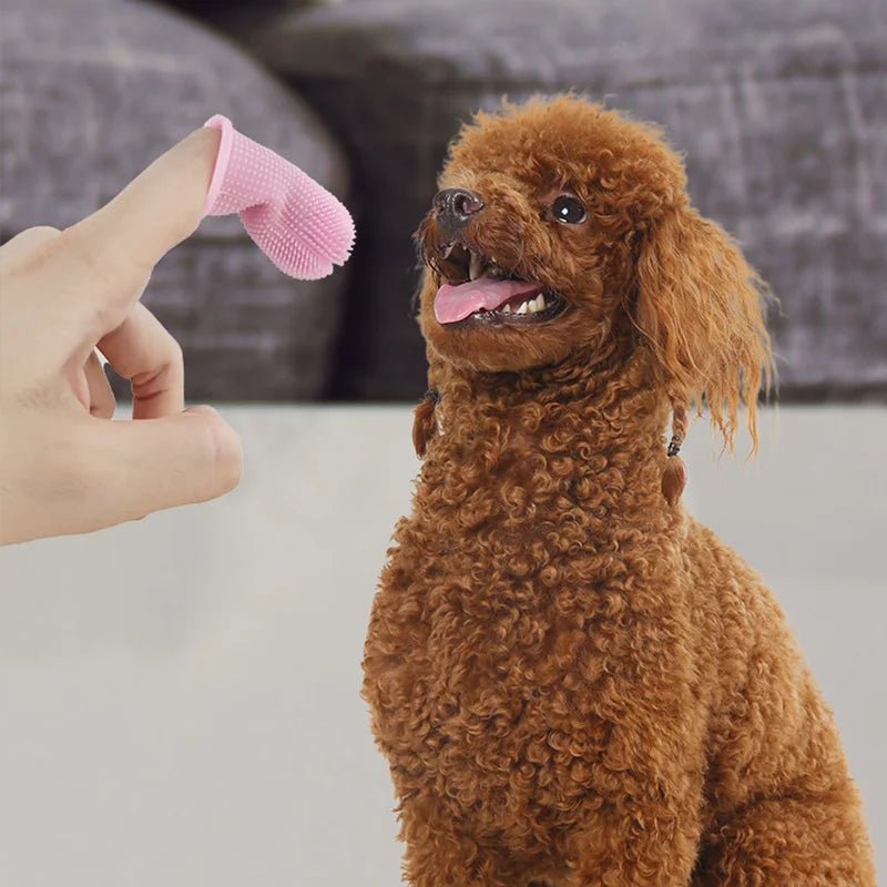 Brosse à dents de doigt - Chien Précieux