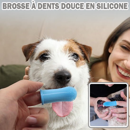 Brosse à dents de doigt - Chien Précieux