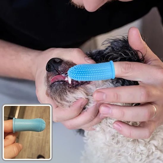 Brosse à dents de doigt - Chien Précieux