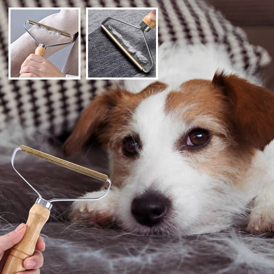 Brosse anti - poils - Chien Précieux