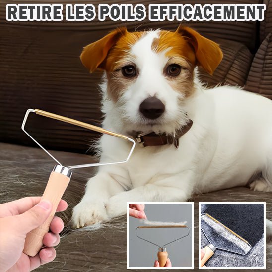 Brosse anti - poils - Chien Précieux