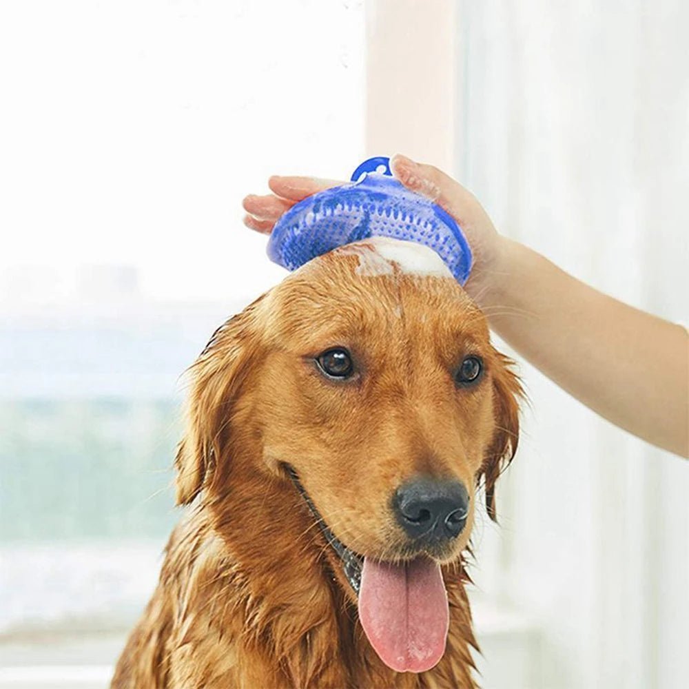 Brosse de nettoyage et massage - Chien Précieux