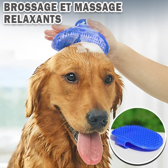 Brosse de nettoyage et massage - Chien Précieux