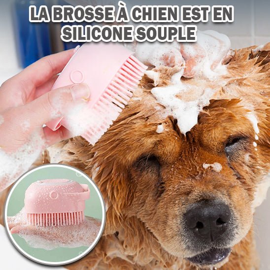 Brosse de toilettage - Chien Précieux