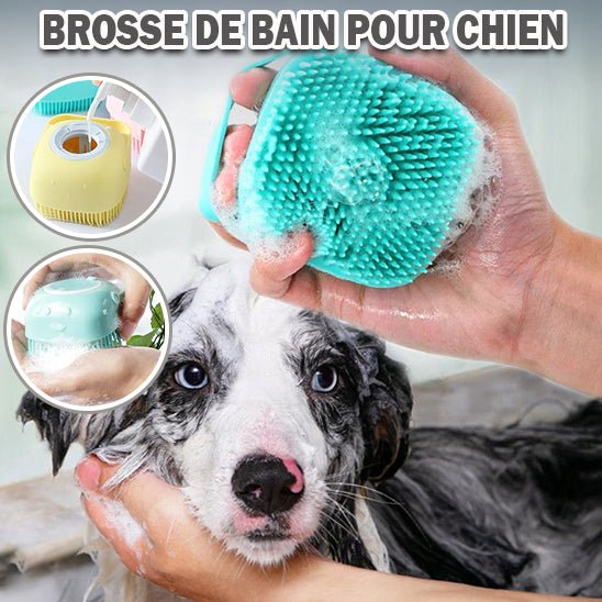 Brosse de toilettage - Chien Précieux