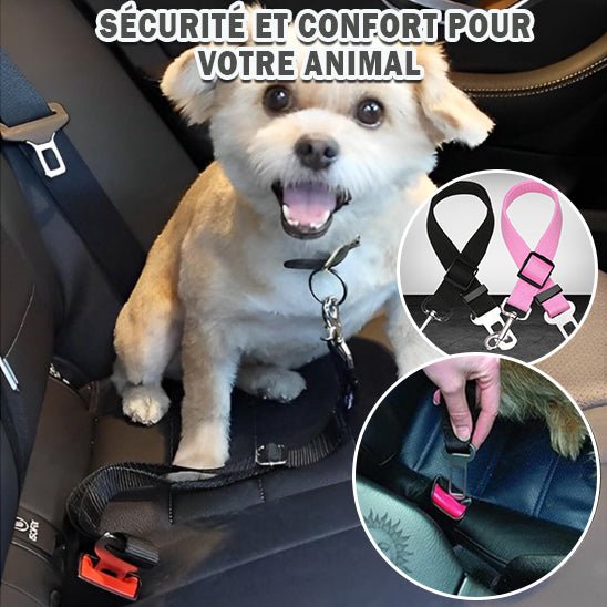 Ceinture de sécurité - Chien Précieux