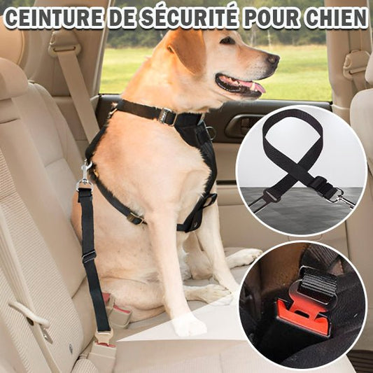 Ceinture de sécurité - Chien Précieux