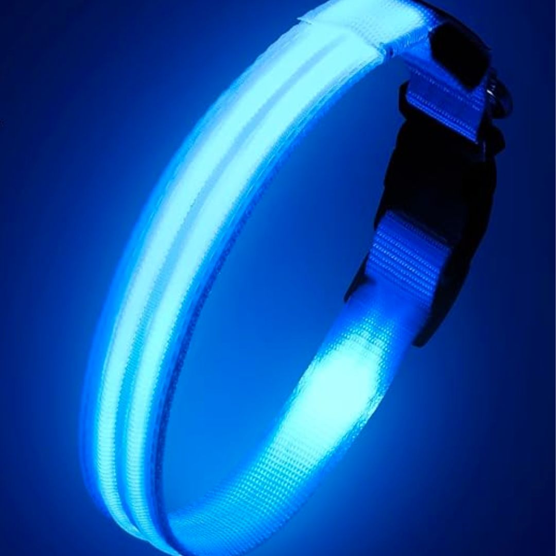 COLLIER LUMINEUX CHIEN | LedCollar™ - Chien Précieux