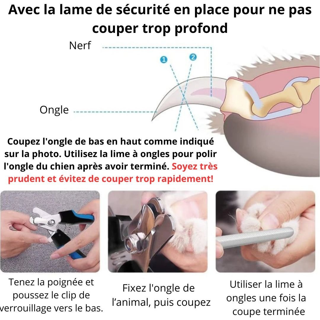 Coupe griffes professionnel - Chien Précieux