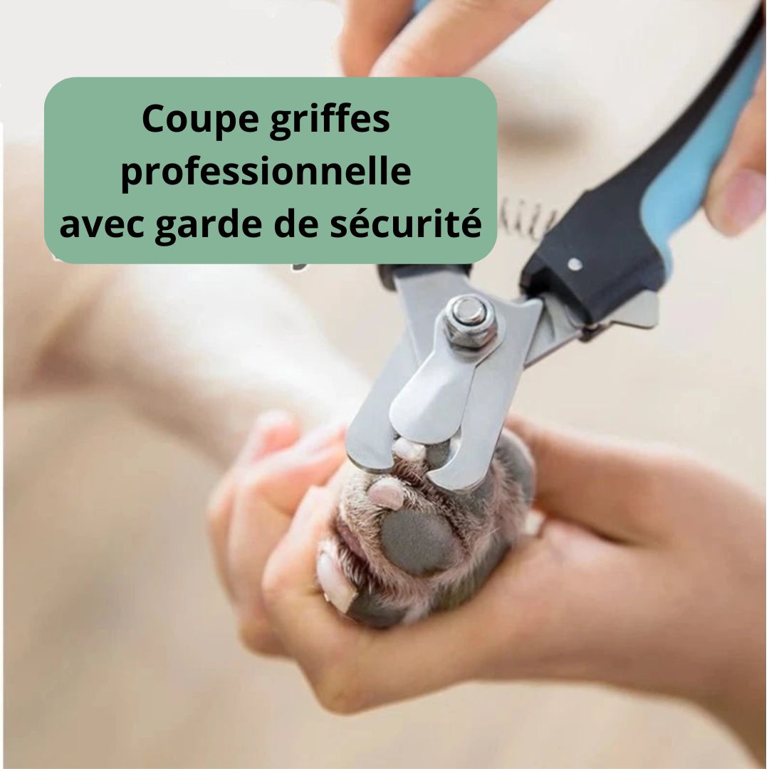 Coupe griffes professionnel - Chien Précieux