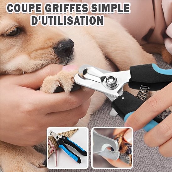 Coupe griffes professionnel - Chien Précieux