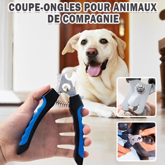 Coupe griffes professionnel - Chien Précieux