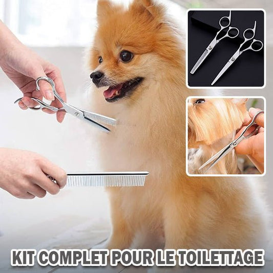 CoupePoils - ensemble d'outils à toilettage pour chien - Chien Précieux