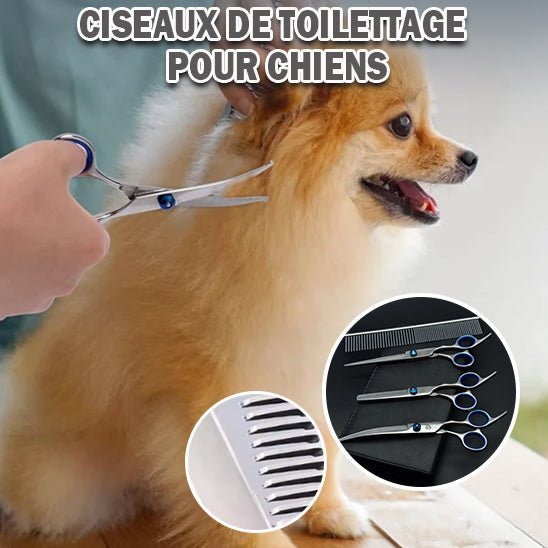 CoupePoils - ensemble d'outils à toilettage pour chien - Chien Précieux