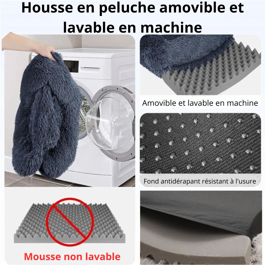 Coussin pour chien - Chien Précieux