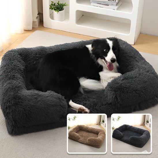 Coussin pour chien - Chien Précieux