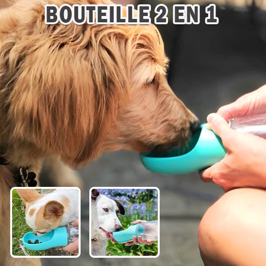 Distributeur portable d'eau et de nourriture - Chien Précieux