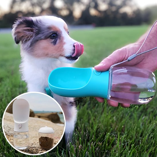 Distributeur portable d'eau et de nourriture - Chien Précieux