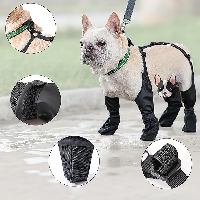 Bottes pour chien sécuritaire