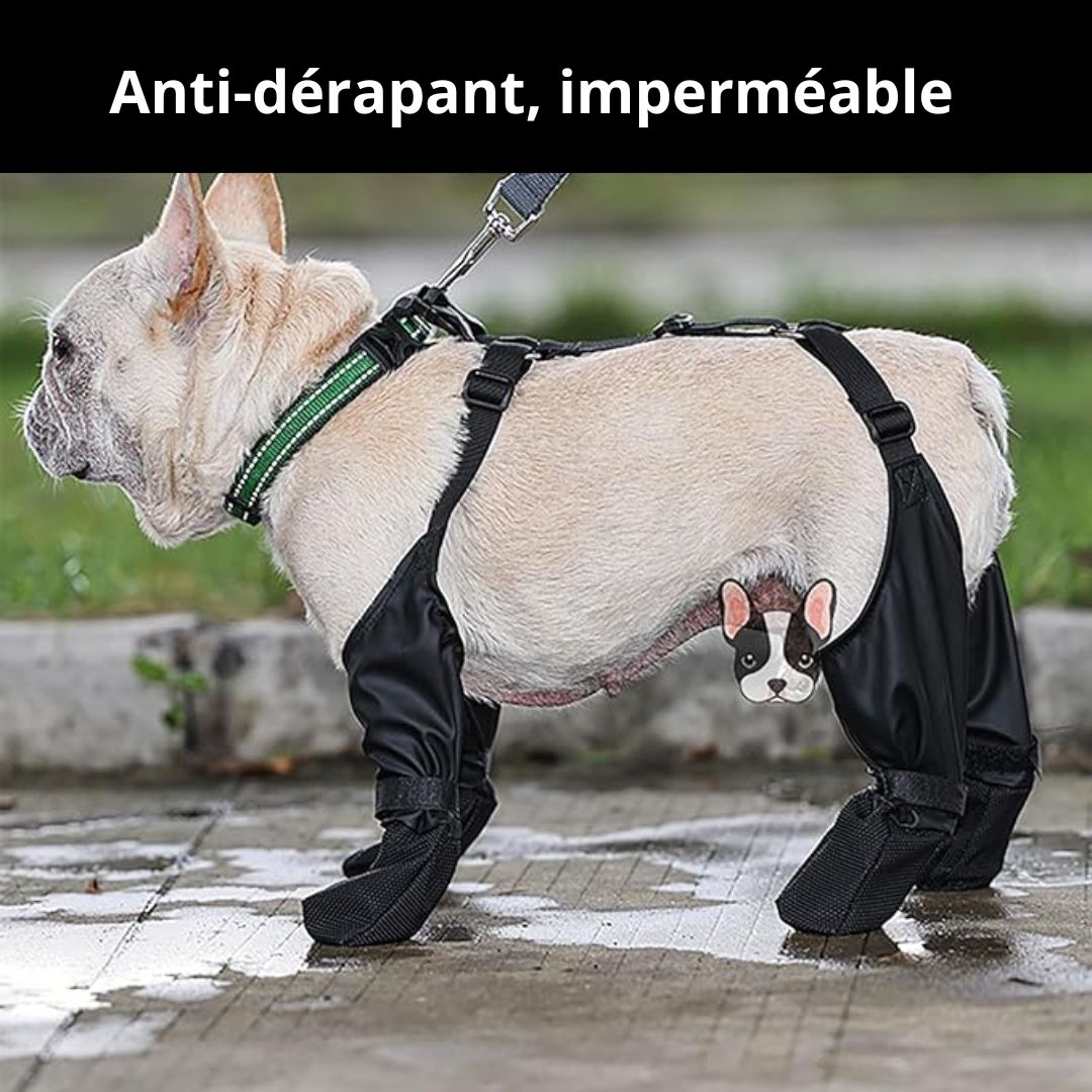 Bottes chien-imperméable