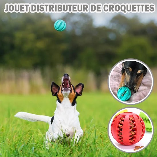 Foodie - ball™ - Chien Précieux