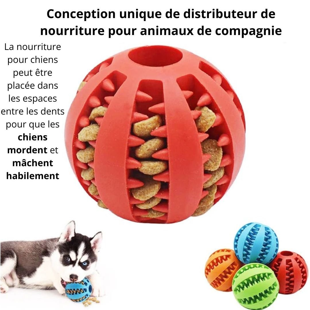 Foodie - ball™ - Chien Précieux