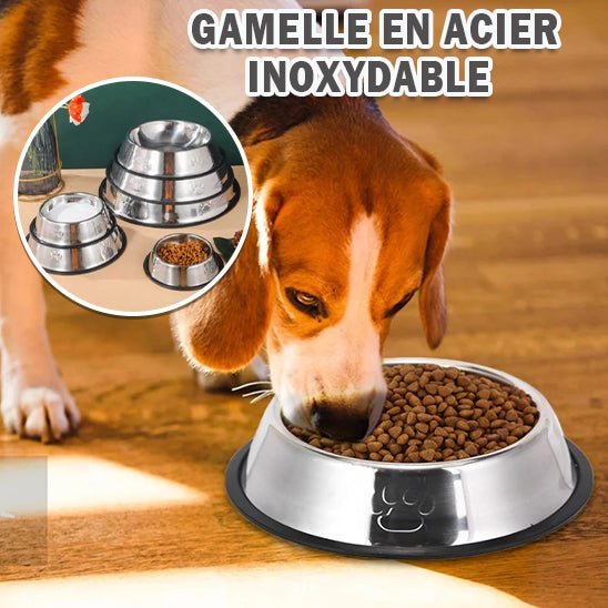 Gamelle en acier inoxydable et antidérapante - Chien Précieux