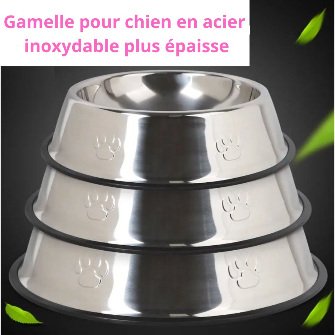 Gamelle en acier inoxydable et antidérapante - Chien Précieux