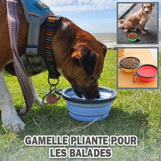 Gamelle pliable - Chien Précieux