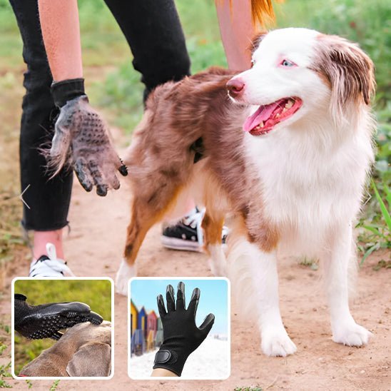 Hair - Gloves ™/Gants pour poils morts - Chien Précieux