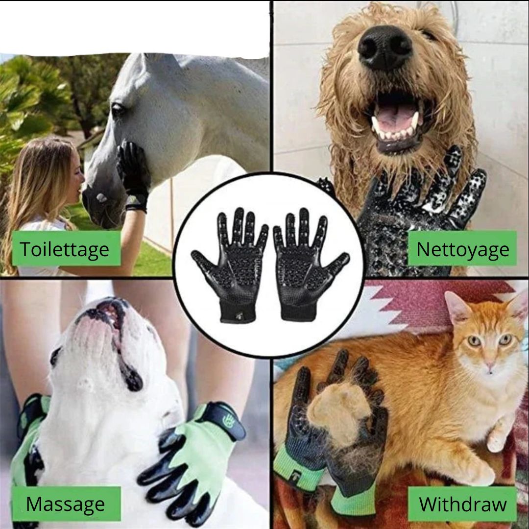 Hair - Gloves ™/Gants pour poils morts - Chien Précieux