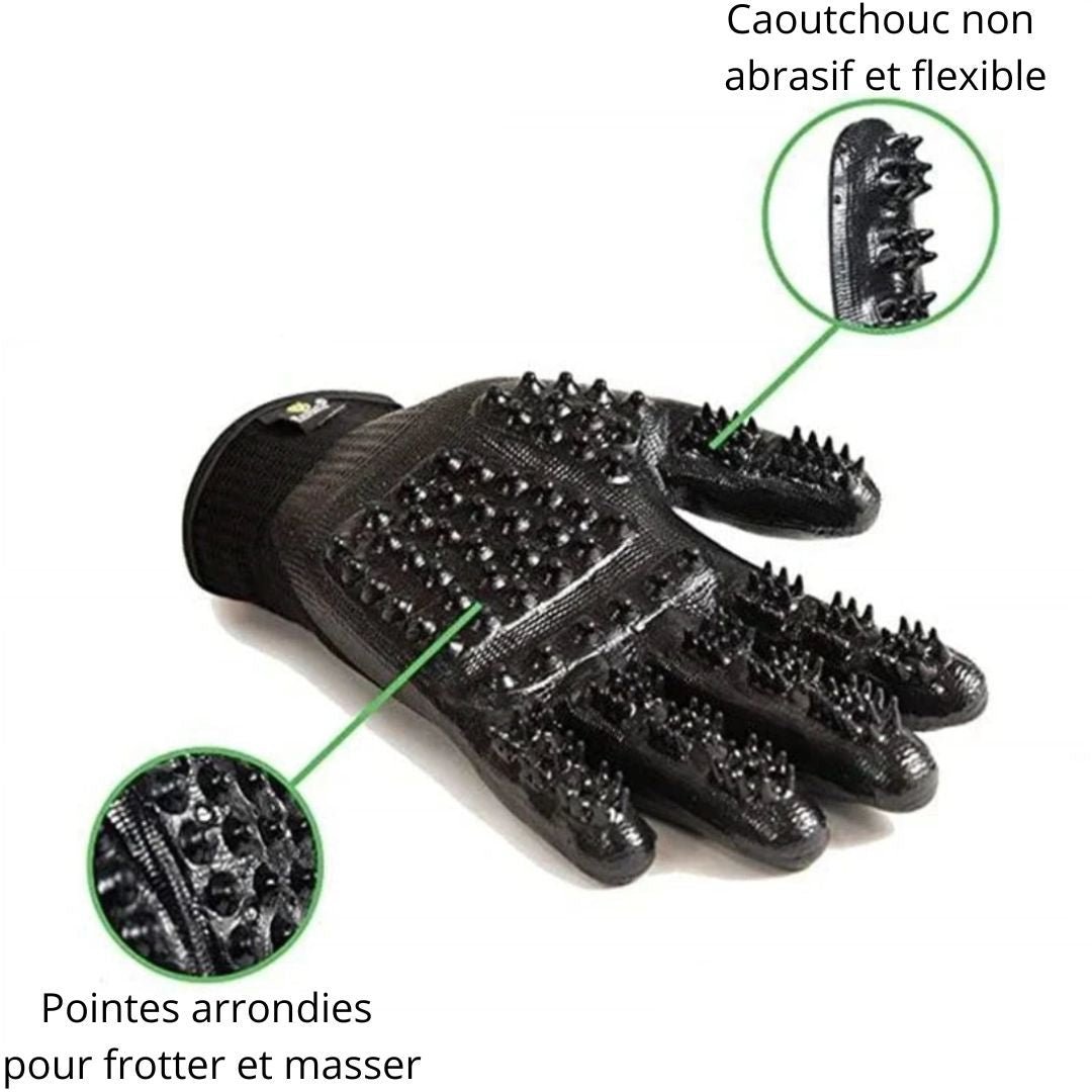 Hair - Gloves ™/Gants pour poils morts - Chien Précieux