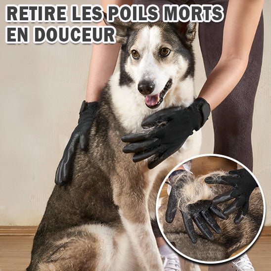 Hair - Gloves ™/Gants pour poils morts - Chien Précieux