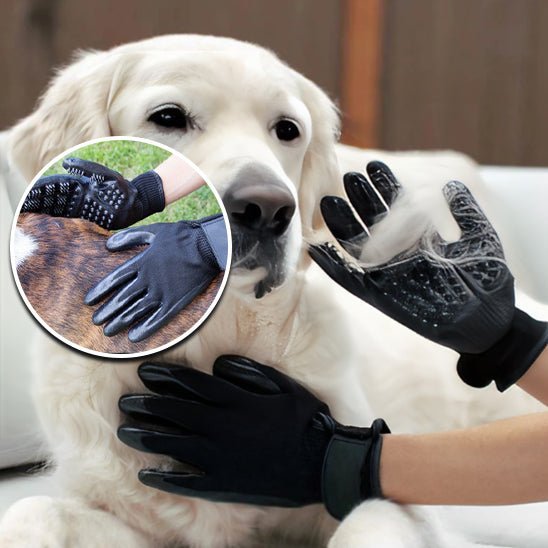 Hair - Gloves ™/Gants pour poils morts - Chien Précieux