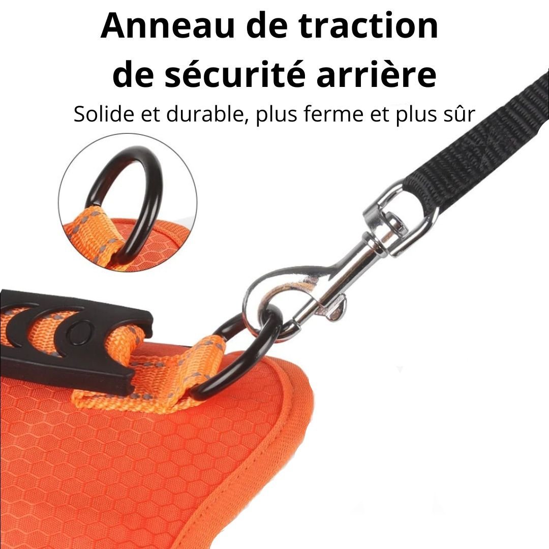 Harnais anti - traction - Chien Précieux