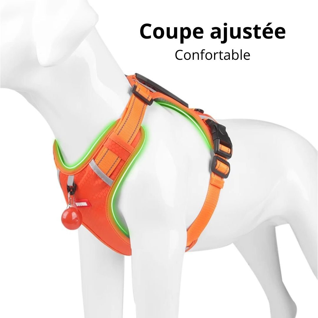 Harnais anti - traction - Chien Précieux