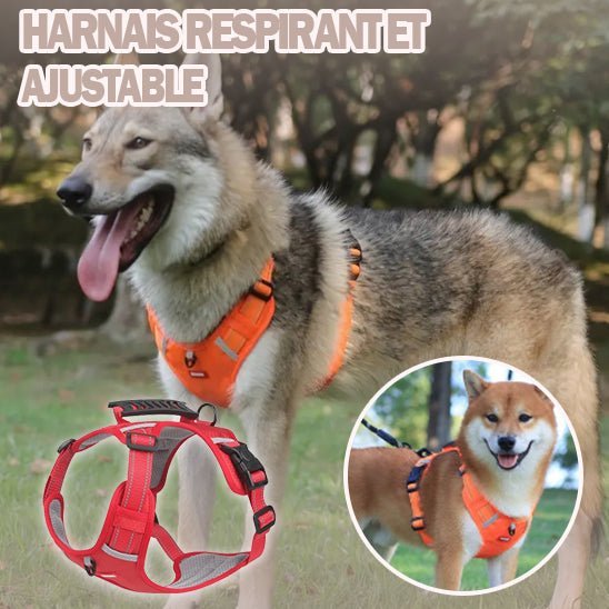 Harnais anti - traction - Chien Précieux