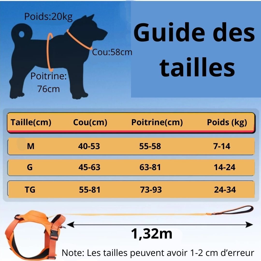 Harnais avec laisse rétractable - Chien Précieux