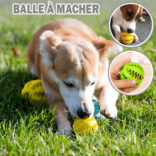 Balle pour chien /Foodie-ball™