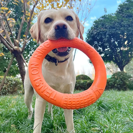 Jouet pour chien /Anneau