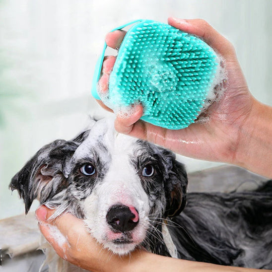 Brosse de bain pour chien