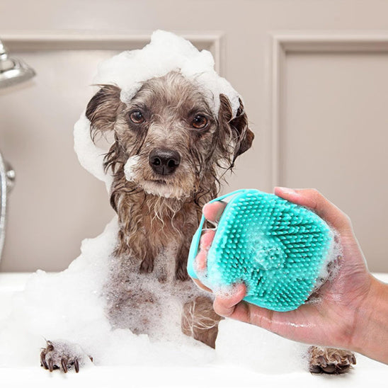 Brosse de bain pour chien