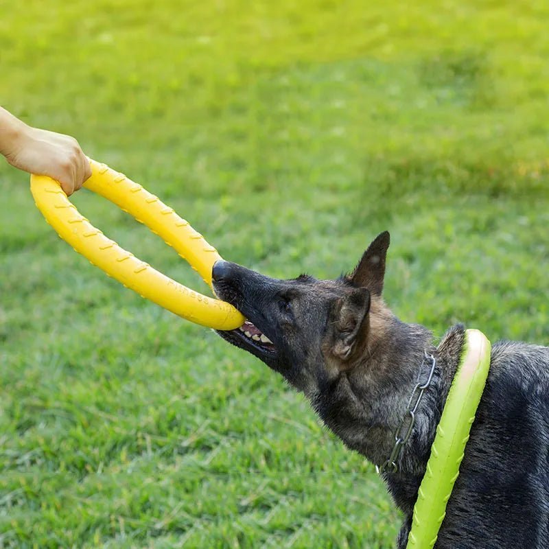 Jouet à mâchouiller - Chien Précieux