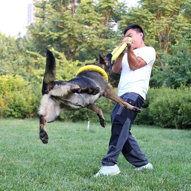 Jouet à mâchouiller - Chien Précieux